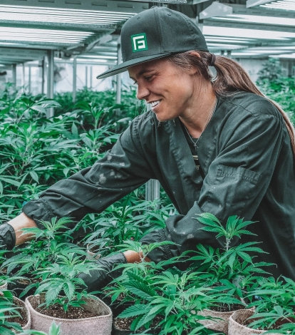 An Enterprise-Level Digital Marketing Agency for Cannabis Companies (1)